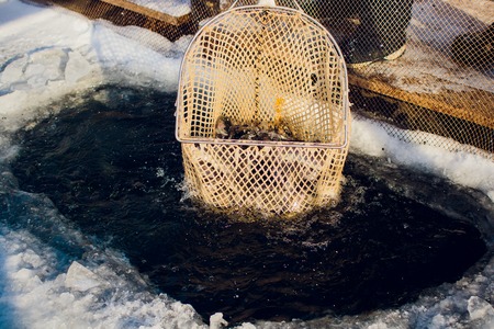 farm trout winter ice-hole fish lake catching a mace foodの写真素材