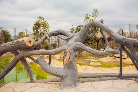 fence on a bridge in a park of intertwined tree branchesの写真素材