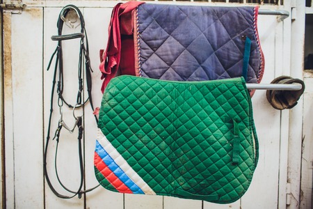 A leather saddles horse in a stable ammunitionの写真素材