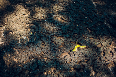 Old natural stone covered with black lichen and moss. Beautiful stone backgroundの写真素材