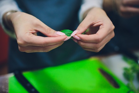 Serving dishes with herbs, the girl wraps leaves of greenery in a strawの写真素材