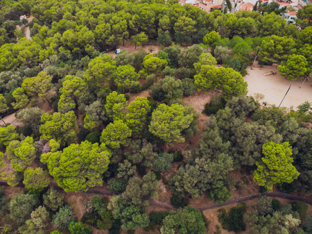 View of Park Guell in Barcelona. Catalonia, Spain