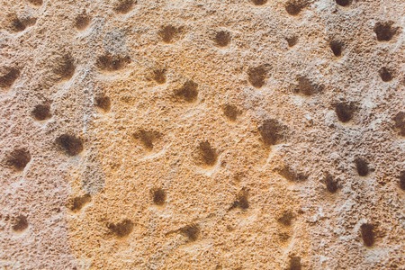 White stucco wall background. White painted cement wall texture