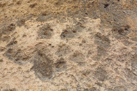 Textured wall. Background texture. old cement stoneの写真素材