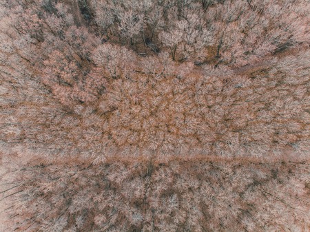 Empty highway in the autumn forest. Beautiful view of the road from the air. Shooting with...