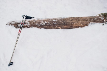Nordic skier on the white winter forest covered by snow.の写真素材