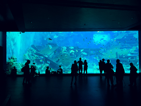 People observing fish at the aquariumの写真素材