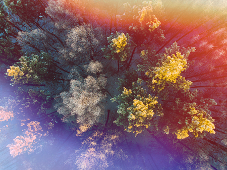 Aerial shot of a beautiful green forest. View of the setting sunの写真素材