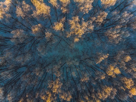 Beautiful Drone Shoot Above The Forest. snow treesの写真素材