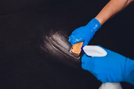 Cropped image. Cleaning concept. Male hand in protective gloves cleaning sofa couch in the roomの写真素材
