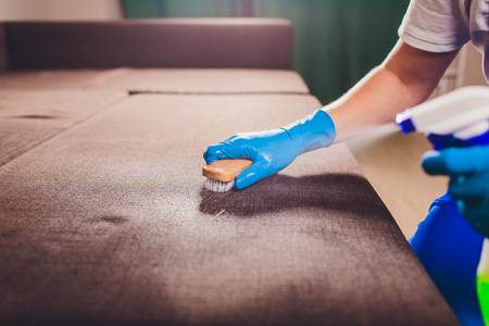 Cropped image. Cleaning concept. Male hand in light blue protective gloves cleaning sofa couch in...
