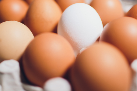 White chicken eggs opposite red in a cardboard box with empty space, background.