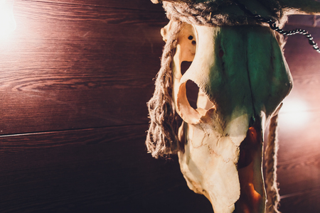 Old buffalo skull hanging on wooden wall.の写真素材