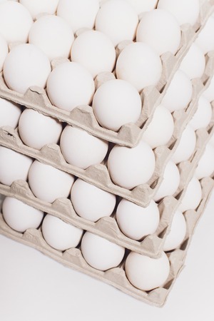 White eggs of a hen in harmless, cardboard packing on a white background. 5 packs.の写真素材