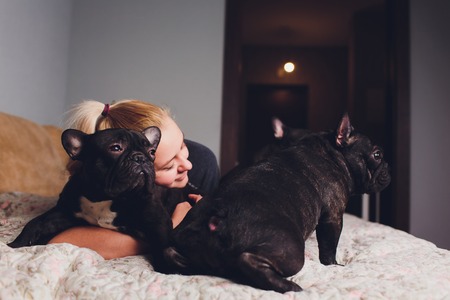 A beautiful young girl sits and holds a lot of small puppy of a French bulldog dog.の写真素材