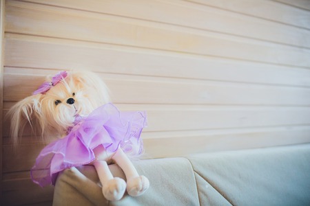 children's toy dog in a skirt sits on the edge of a sofa on a light wood background