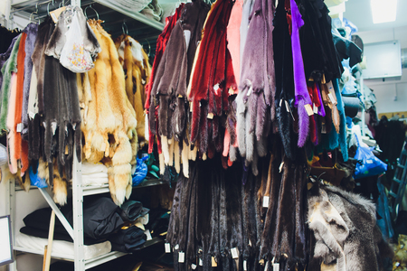Animal fur. foxes, raccoon, wolf, beaver, mink, nutria hanging after processing.の写真素材