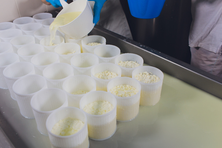 Close-up of a man forming cheese into the plastic molds at the small producing farm.