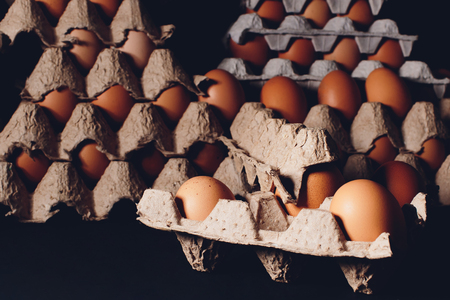 brown eggs Paper trays containers paper castleの写真素材