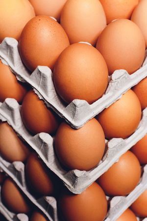 brown eggs Paper trays containers paper manyの写真素材