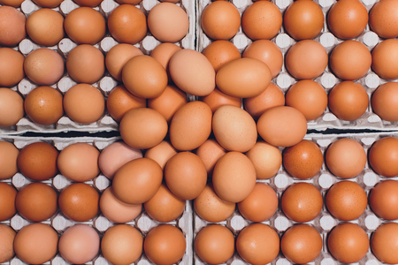 brown eggs Paper trays containers paper many
