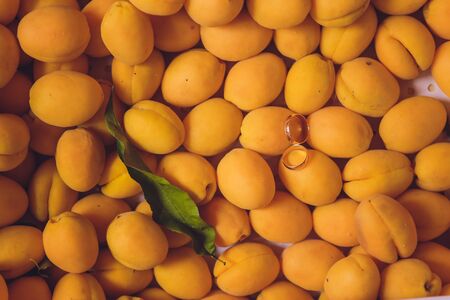 Wedding rings on the apricots. beautiful summer wedding.の写真素材