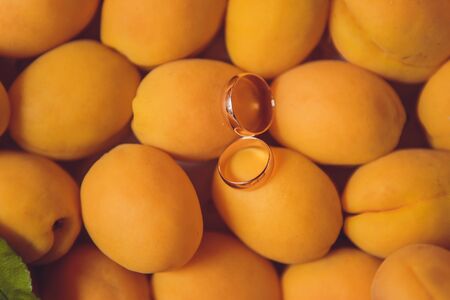 Wedding rings on the apricots. beautiful summer wedding.の写真素材