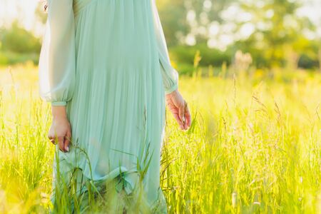 Woman hand with ear of wheat. Sunset light.の写真素材