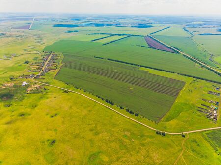 Top view of the fields and harvest. Shooting from the quadcopter. sunny day.の写真素材