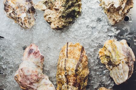 Fresh oysters on ice in the seafood market.