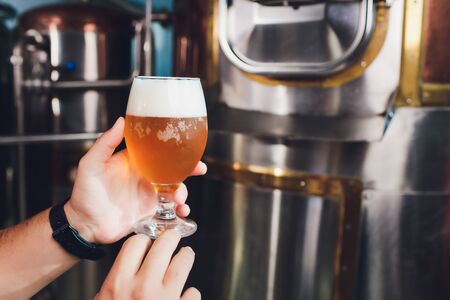 Oktoberfest festival. Tasting fresh brewed beer. Brewer holds glass with craft beer. Brewery concept. Man with beer of mug. Alcohol. Male brewer holds glass with beer. Oktober fest. Barman. Brewer.の写真素材