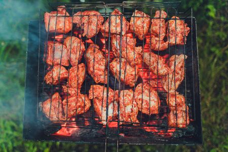 Barbecue grill with skewers. Placed on grassの写真素材