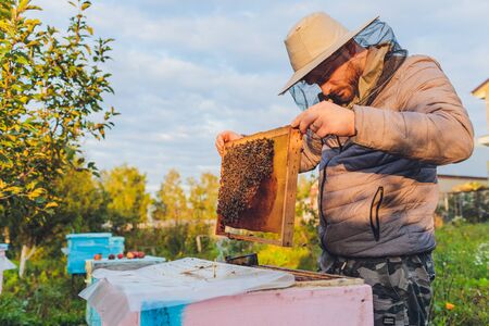 Experienced beekeeper grandfather teaches his grandson caring for bees. Apiculture. The concept of transfer of experience.の写真素材