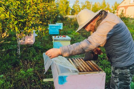 Experienced beekeeper grandfather teaches his grandson caring for bees. Apiculture. The concept of...