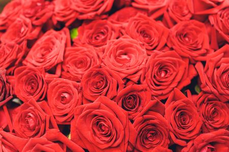 Natural red roses background. Border of Red roses bouquet