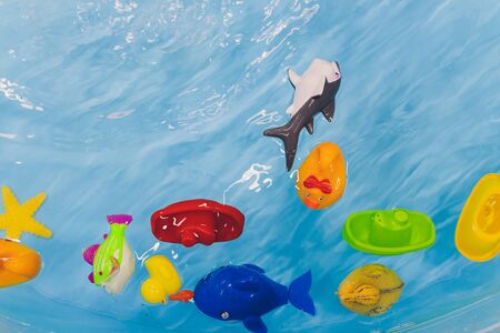 Several igushek in the form of marine fish swim in the water. The toys are very bright colors and...