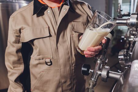 brewer man and apron pours beer in a glass for quality control, standing behind the counter in a brewery.の写真素材