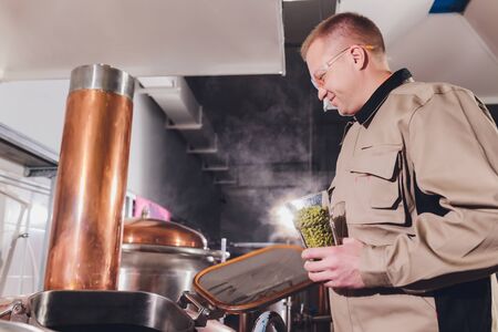Brewer with green hops dressed in apron and checkered shirt at the manufacturing. Epertising quality...