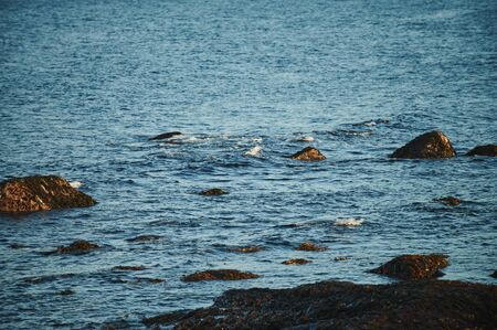 Beautiful summer day landscape abandoned artnature coastal defense North Teriberka, Barents sea viewの写真素材