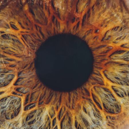 Macro of the eye of a man. Shallow depth of fieldの写真素材