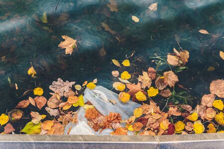 Plastic pollution in water. Ecological industry conceptの写真素材