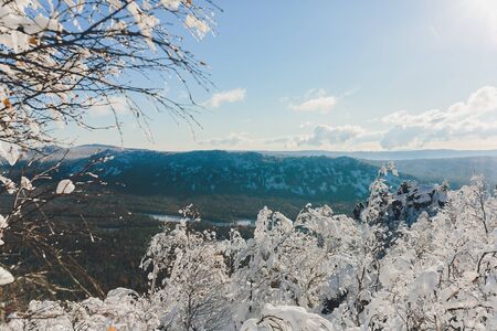 Winter rime and snow covered fir trees on mountainsideの写真素材