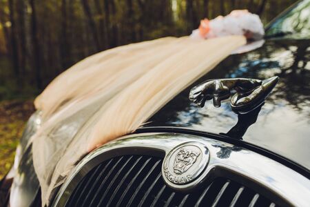 Ufa, Russia, 18 October, 2019: Hood ornament Jaguar in the jump on a vintage Jaguar carのeditorial素材