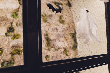 Festive Halloween pumpkins paper garland. Holidays, decorations and party concept background.の写真素材