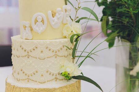 White Cream Icing Cake with Fruits and Chocolateの写真素材