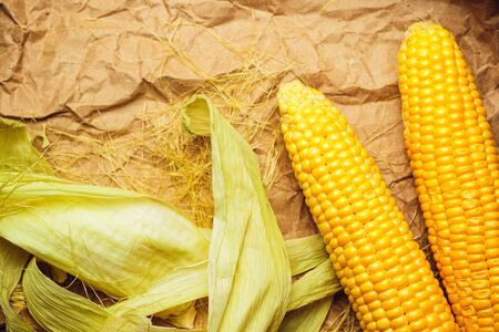 Boiled corn with tops. Yellow agriculture organic vegetarian fresh summer food close upの写真素材