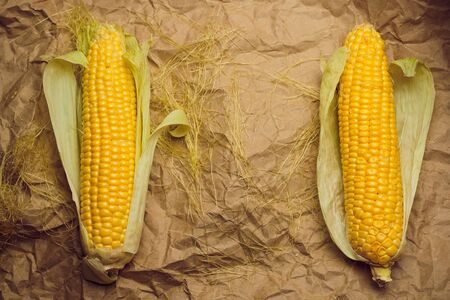 Boiled corn with tops. Yellow agriculture organic vegetarian fresh summer food close up