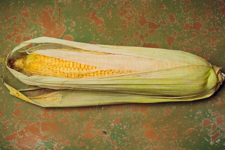 Boiled corn with tops. Yellow agriculture organic vegetarian fresh summer food close upの写真素材