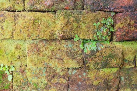 Background of red brick wall pattern texture. Great for graffiti inscriptionsの写真素材