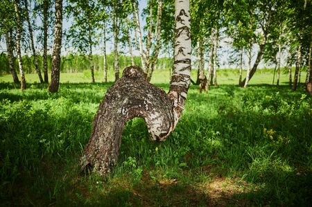 Republic of Bashkortostan, rivers, summer Idrisovskaya cave.の写真素材